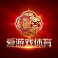 爱游戏体育官方Logo - 赛博国潮体育竞技品牌标识